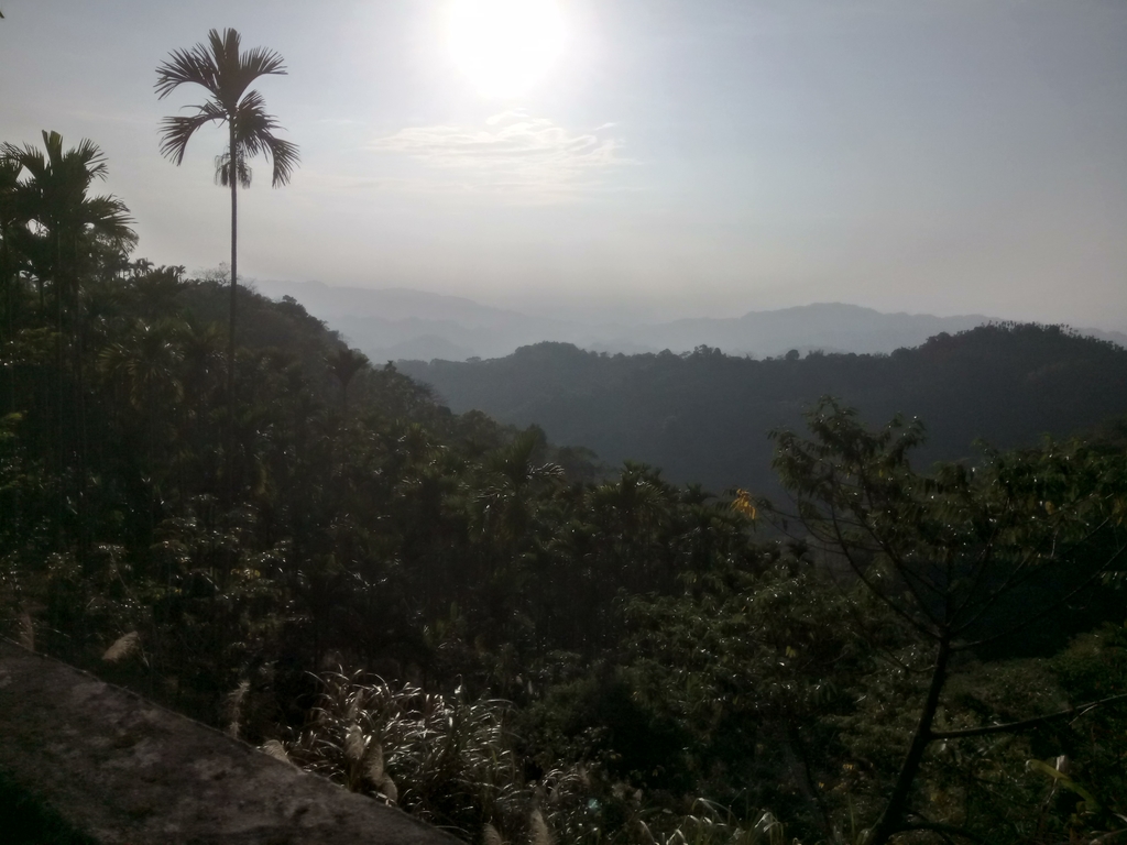 DSC_6892.JPG - 太平  酒桶山  暮色之美