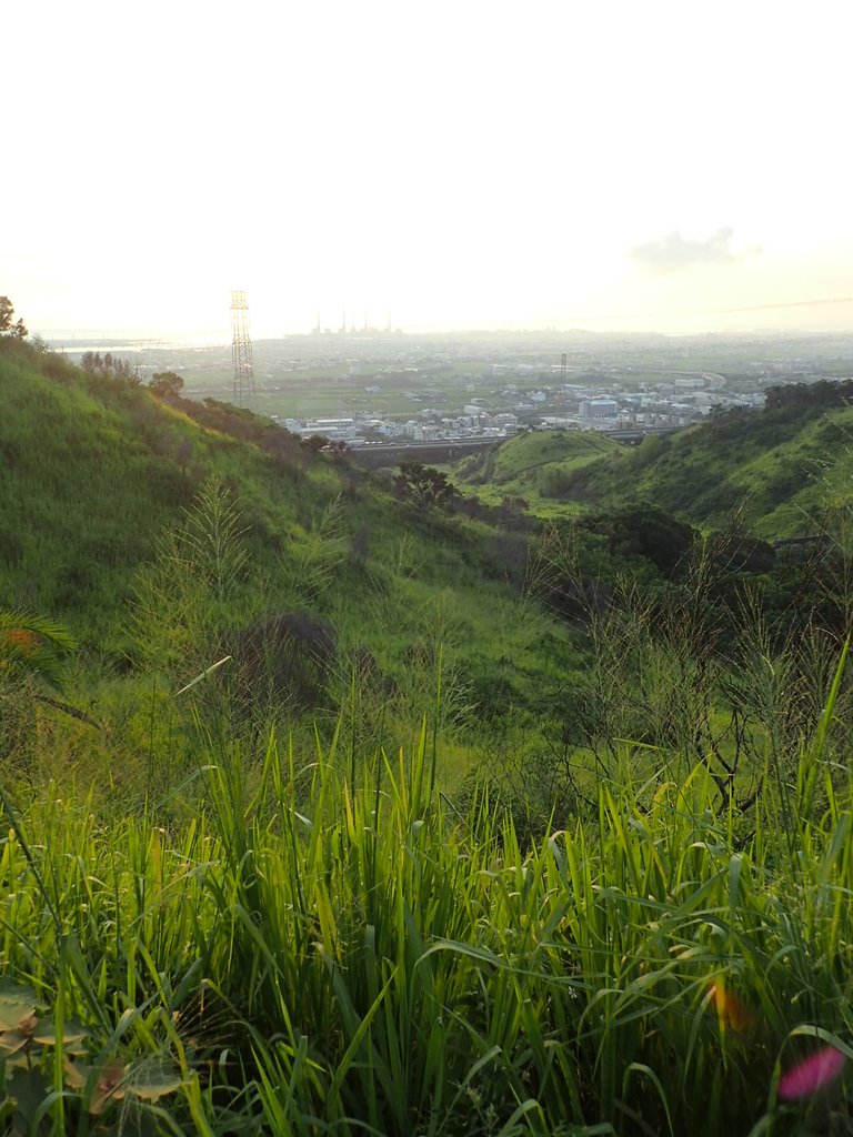 P7296134.JPG - 龍井  竹坑南寮登山步道