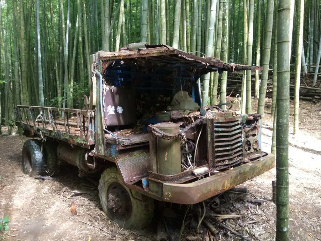 DSC_5222.JPG - 台中和平  長壽山登山步道  (中)