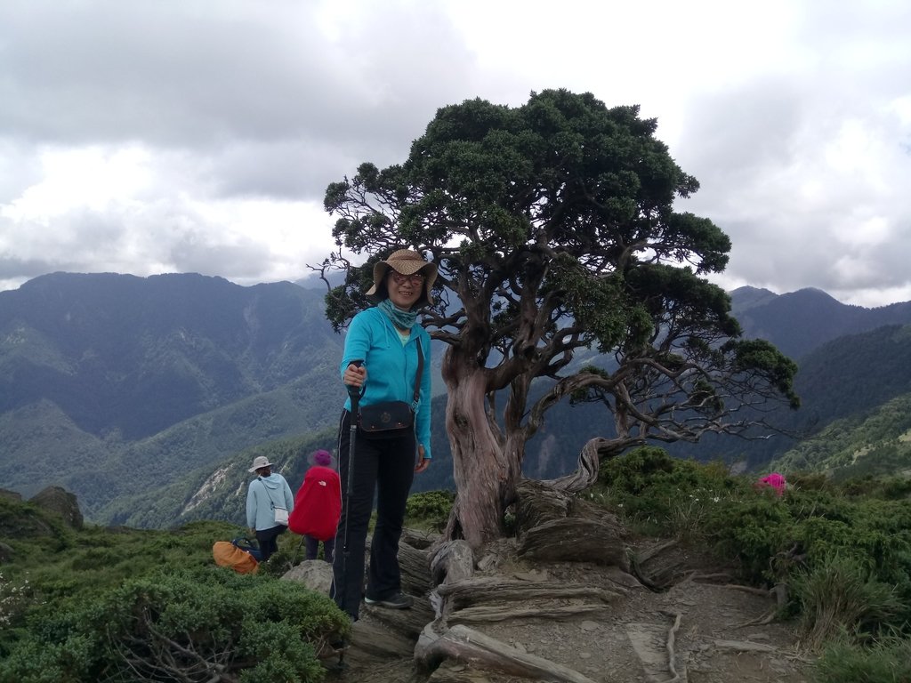 DSC_5446.JPG - 合歡山  北峰之美  (下)