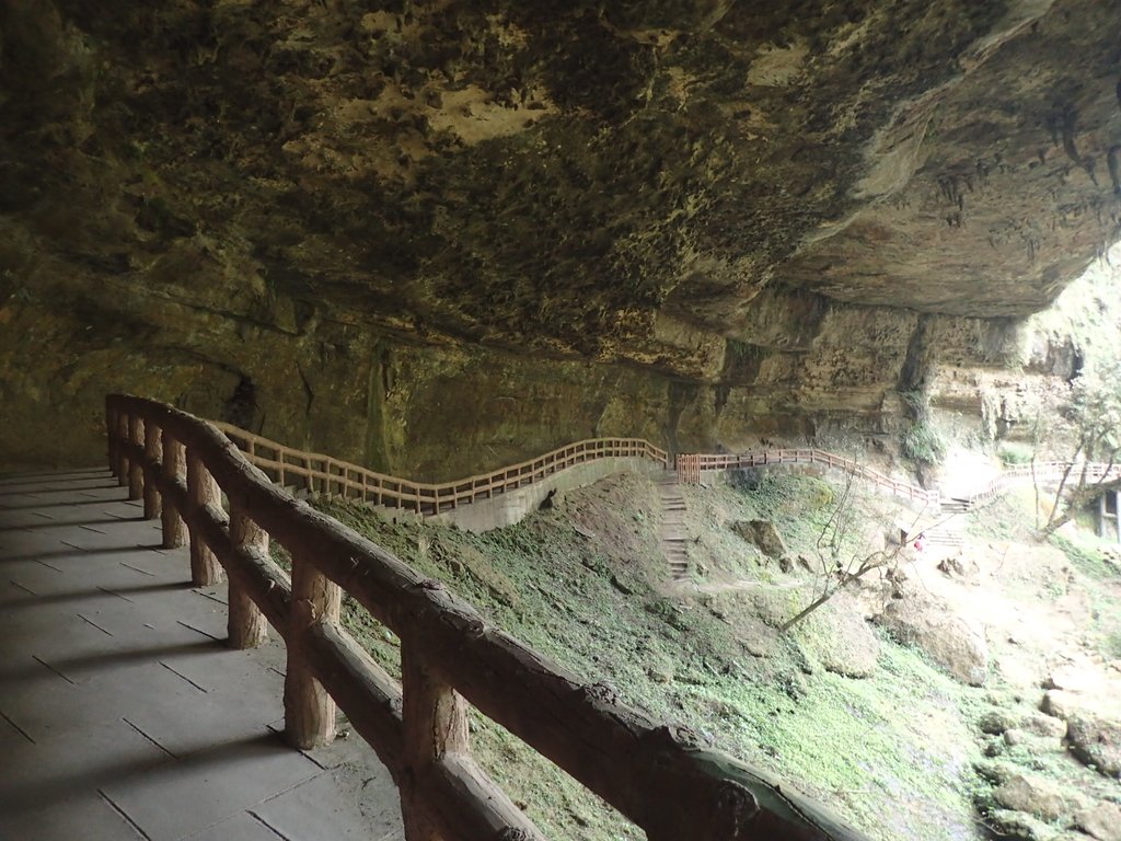 P2056655.JPG - 竹山  杉林溪森林遊樂園  路過