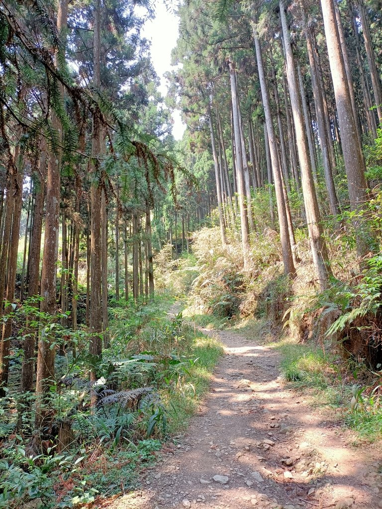 IMG20210403110903.jpg - 五峰  鵝公髻山登山步道  (02)