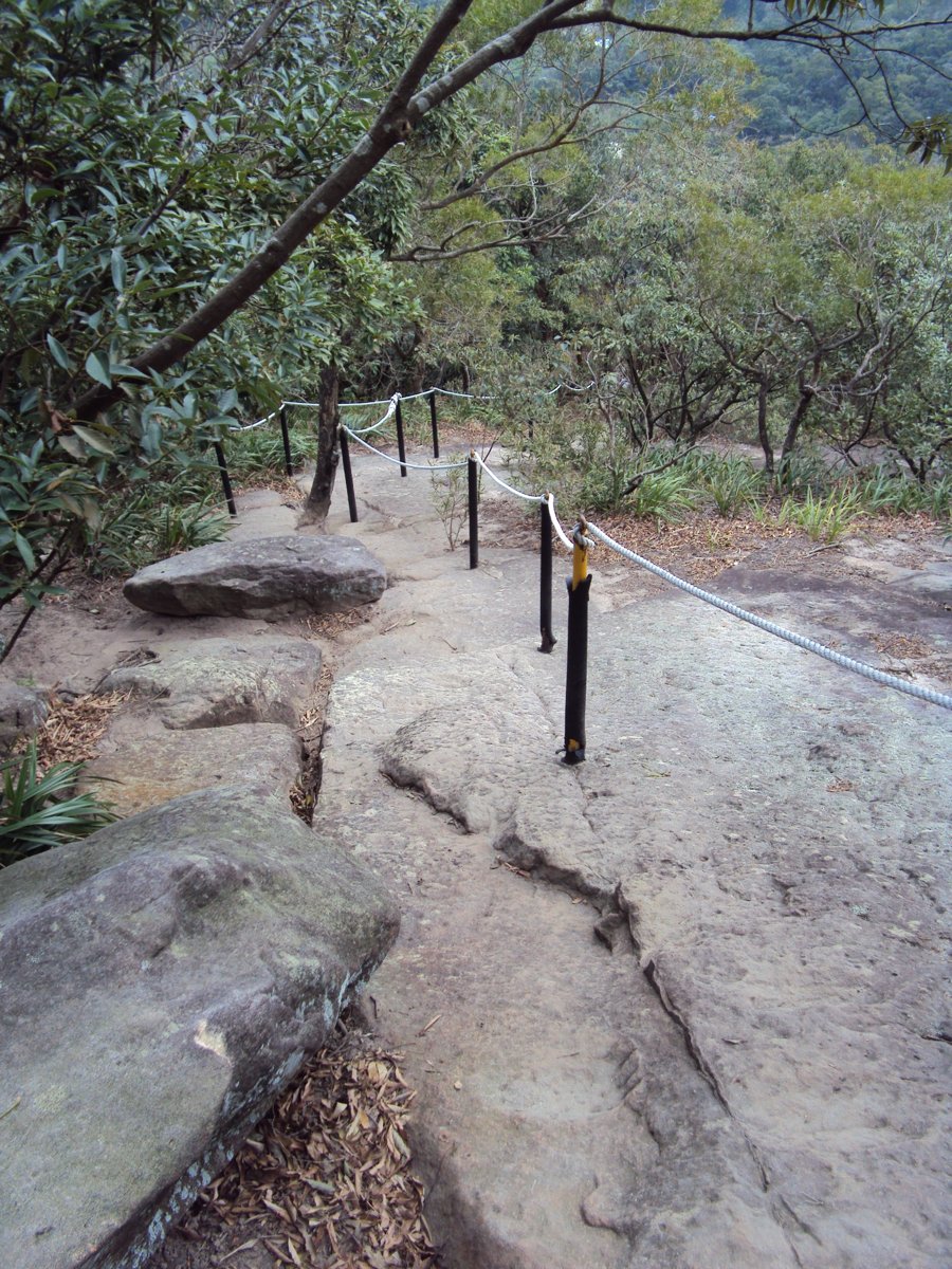 DSC06727.JPG - 內湖  金面山步道