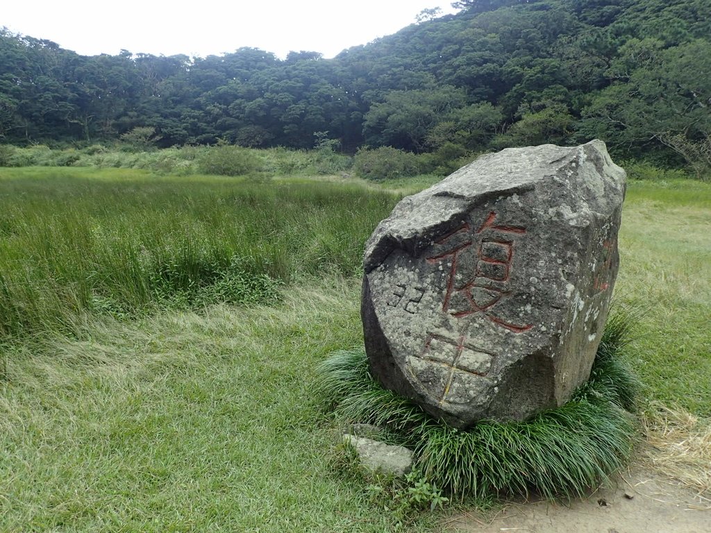 P9238221.JPG - 北投  面天山  向天湖步道