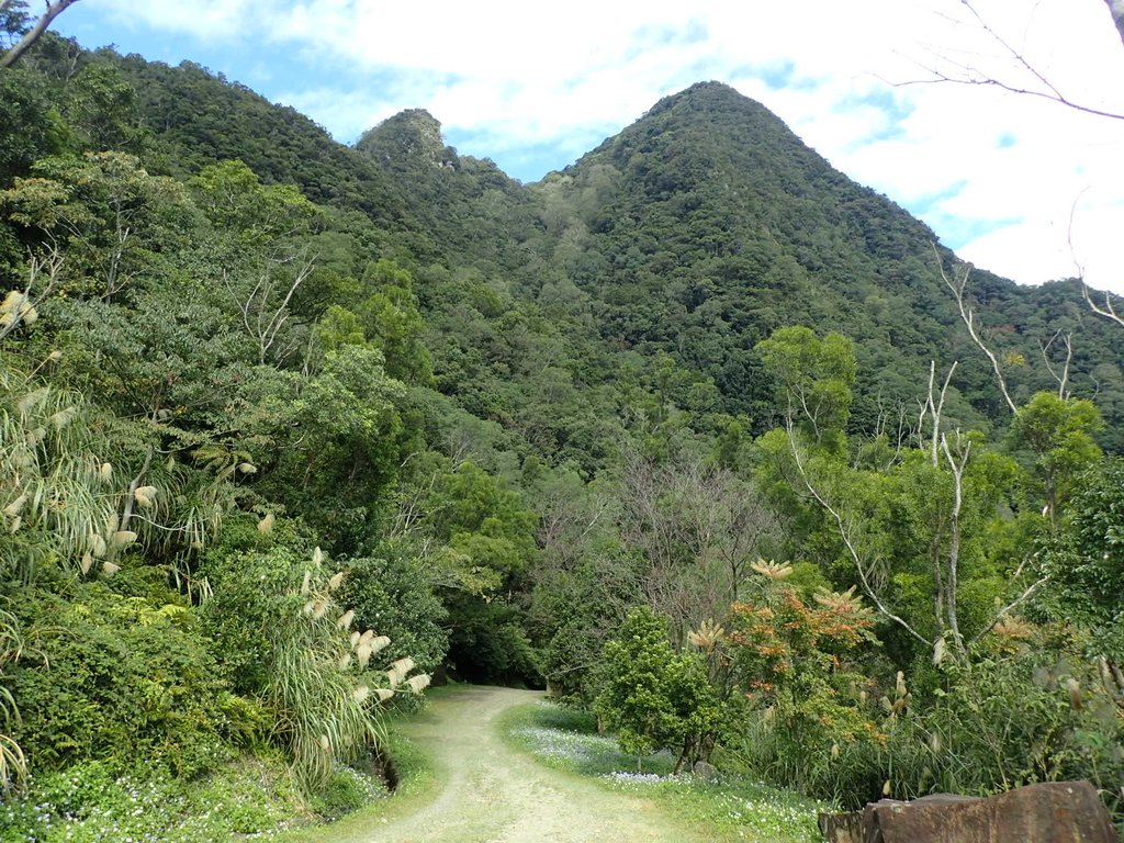 PB257559.JPG - 復興  東滿步道