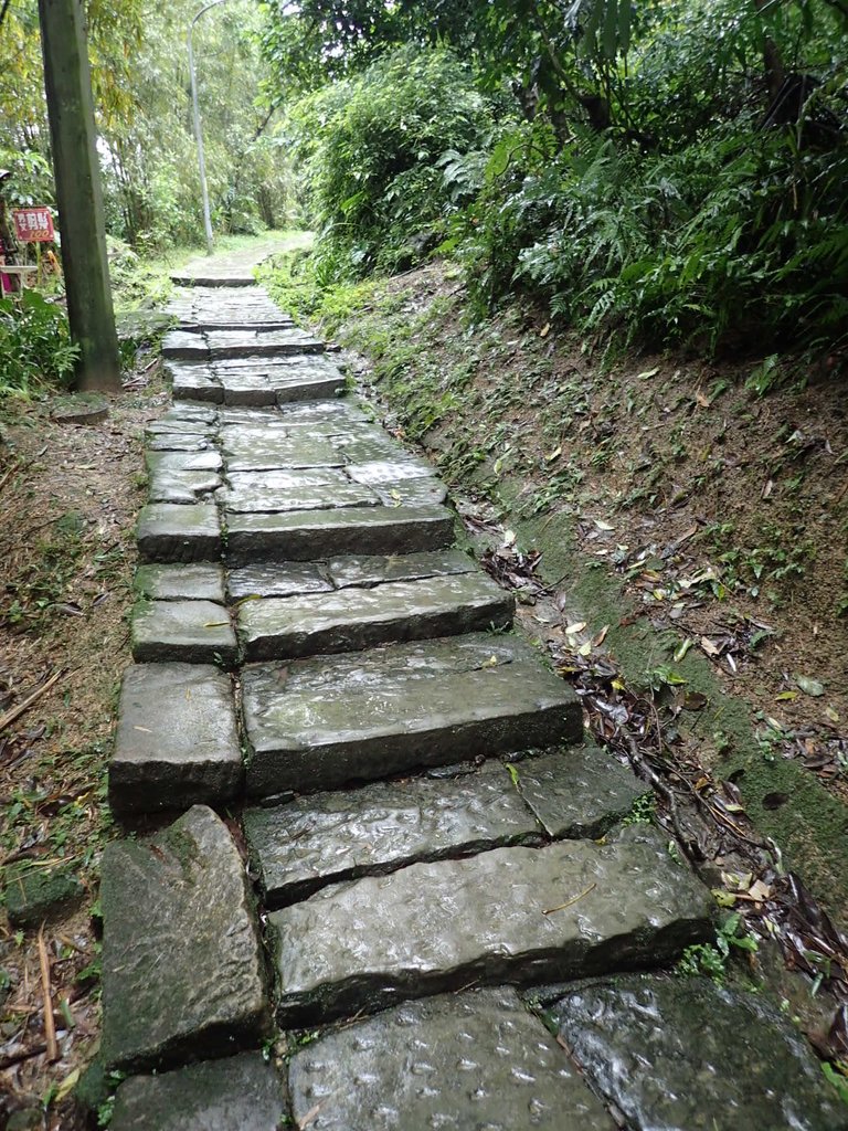 P1062028.JPG - 土城  天上山  登山步道