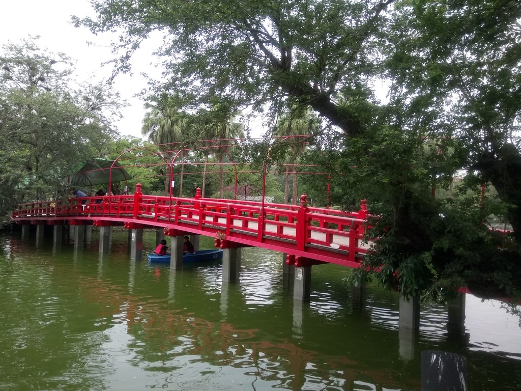 DSC_9917.JPG - 散步  台中公園一隅