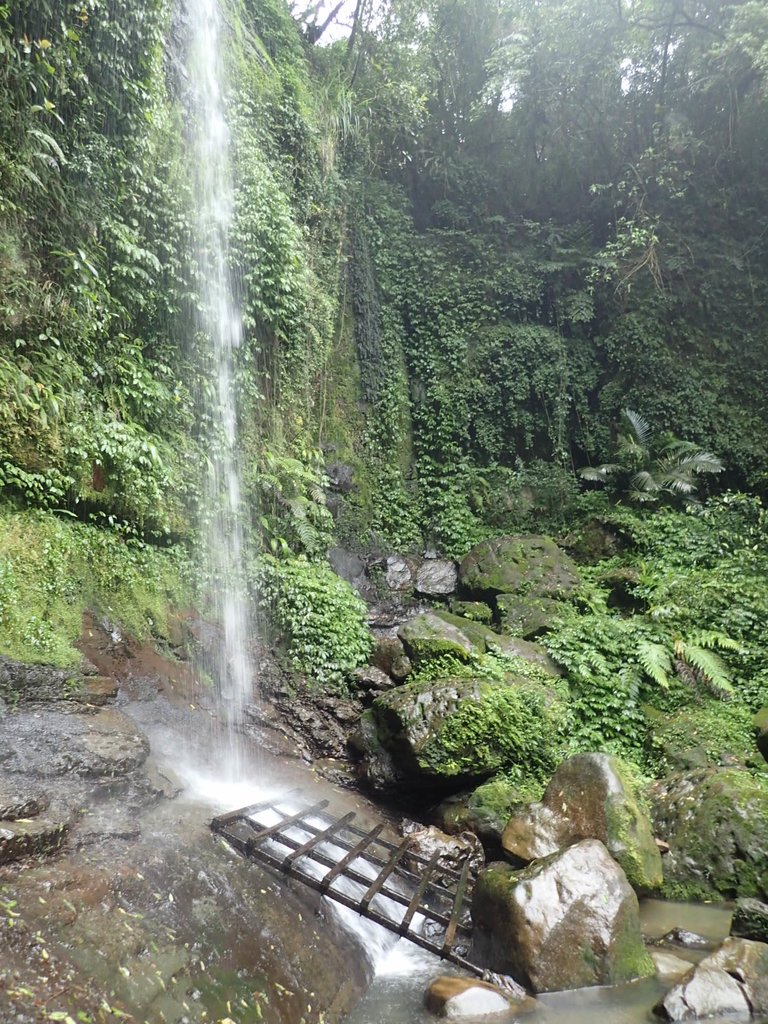 P4051065.JPG - 深坑  炮子崙登山步道