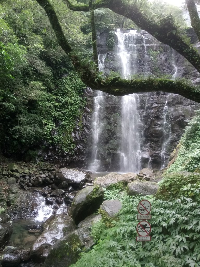 DSC_6129.JPG - 三峽  滿月圓森林遊樂區