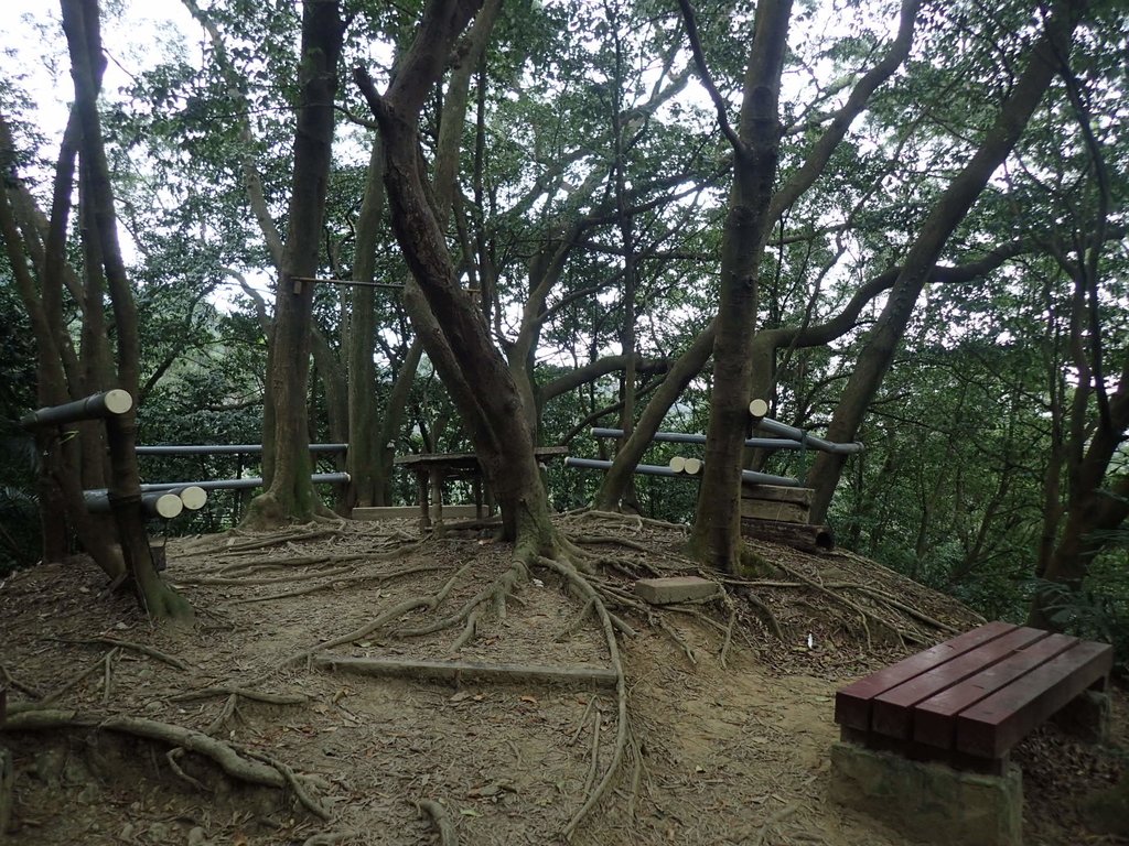 P2167993.JPG - 三峽  鳶尾山登山步道