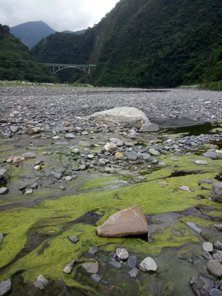 DSC_7956.JPG - 仁愛  武界  一線天  (上)