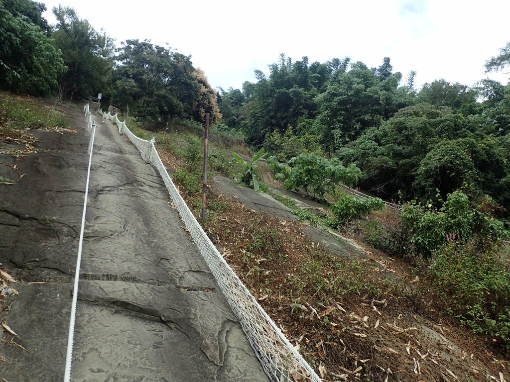 PA231647.JPG - 草嶺  茄苳步道  峭壁雄風