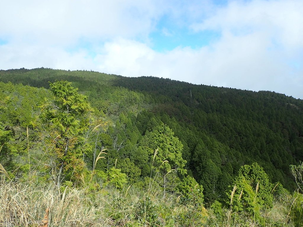 PB265391.JPG - 太平山  翠峰湖環山步道  02