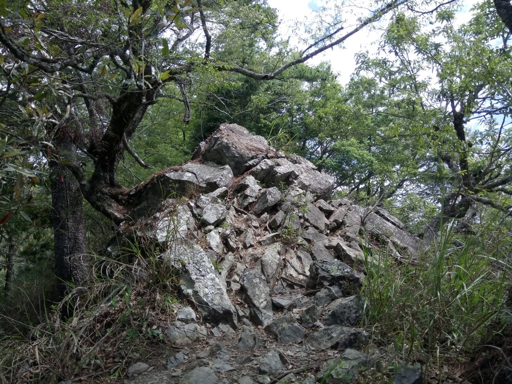 DSC_6494.JPG - 谷關七雄之  波津加山