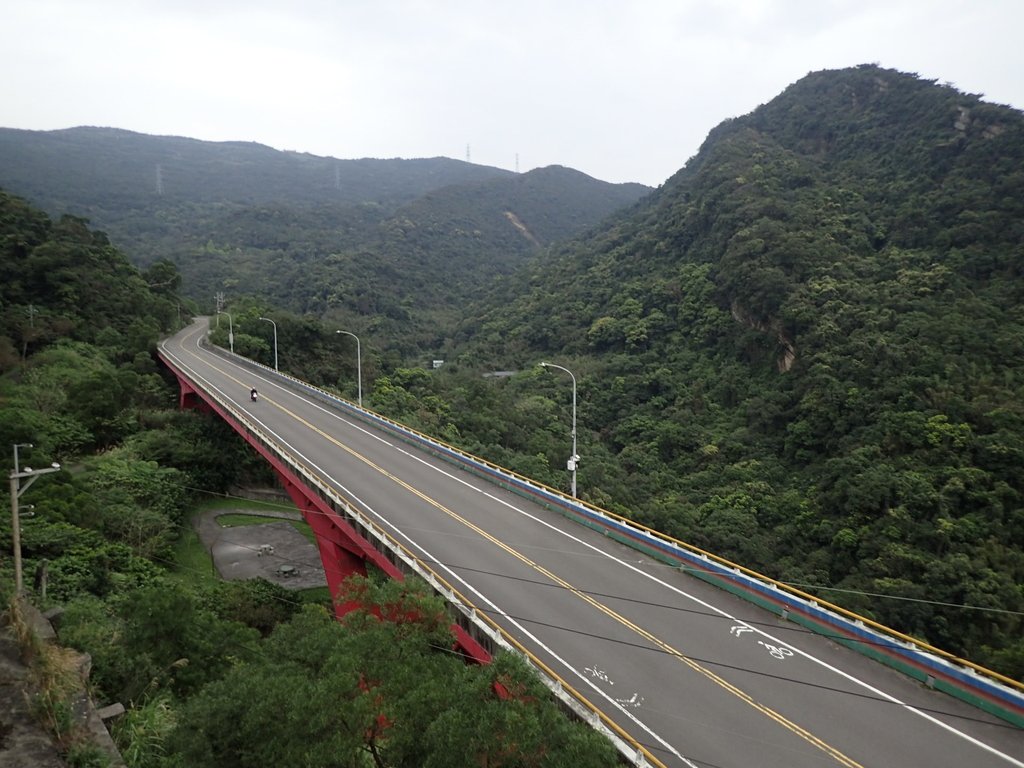 P3160187.JPG - 汐止  金面山(金明山)  稜線步道