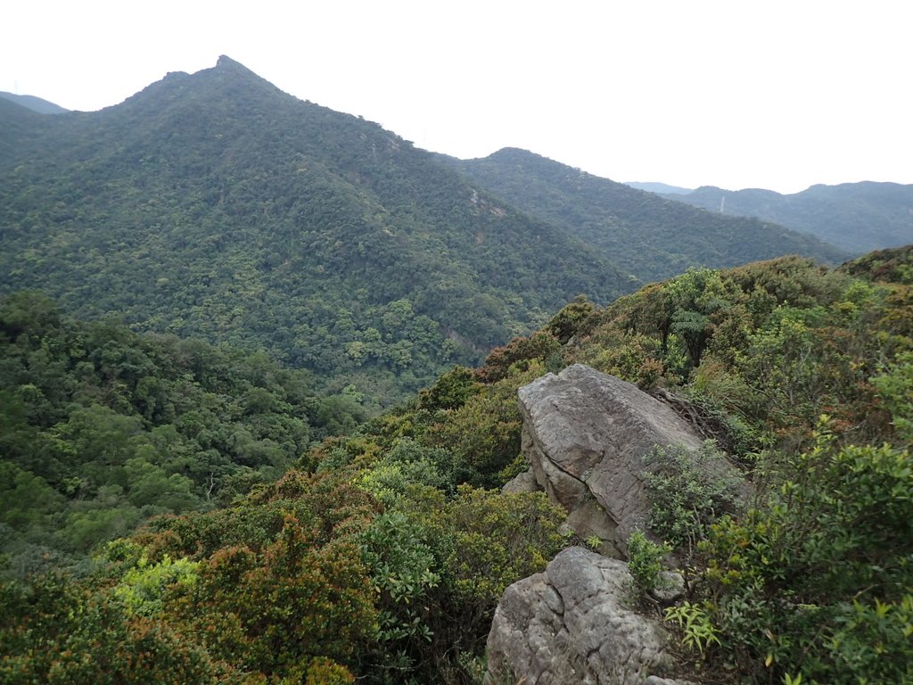 P3160140.JPG - 汐止  金面山(金明山)  稜線步道