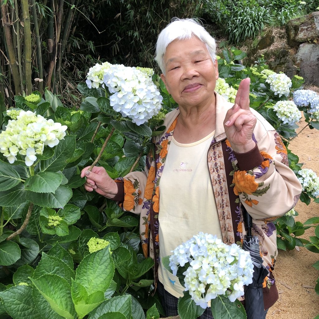 IMG_9004.JPG - 陽明山  高家繡球花園