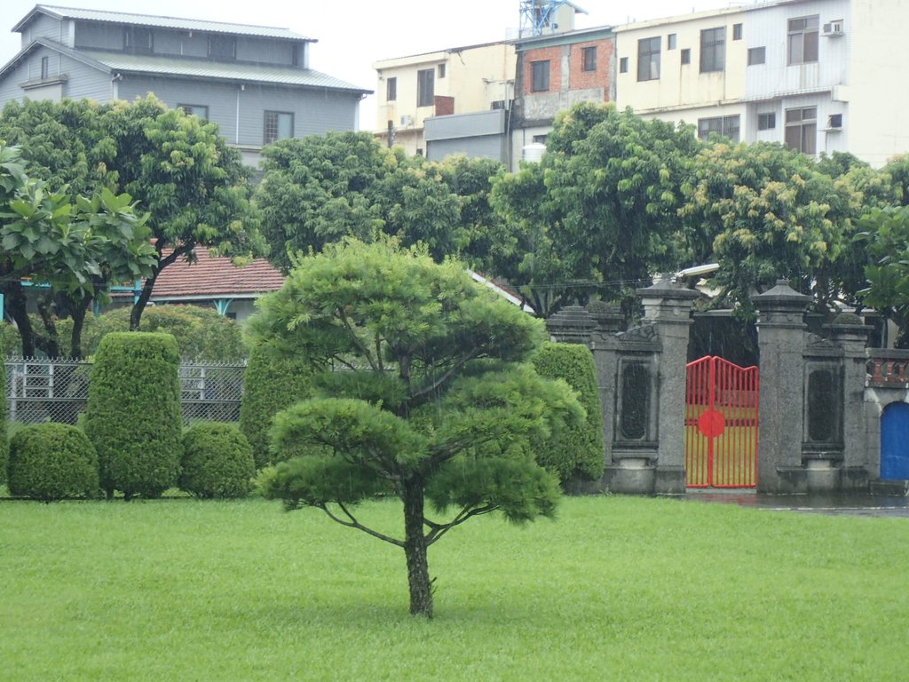 P8186460.JPG - 霧峰  丁台  林家古厝