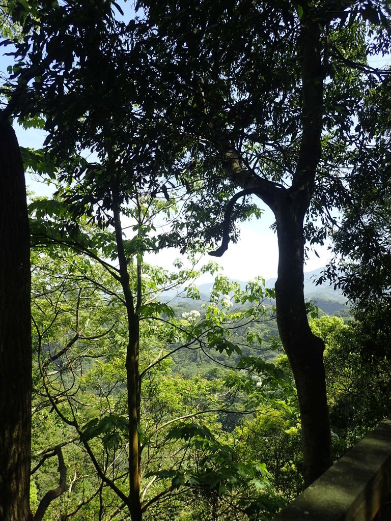 P4161421.JPG - 霧峰  青桐林生態園區