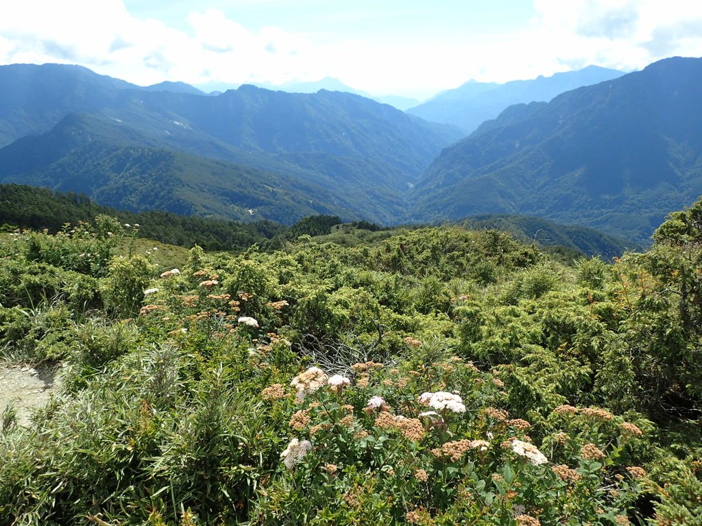 P7245969.JPG - 合歡山  北峰之美  (上)