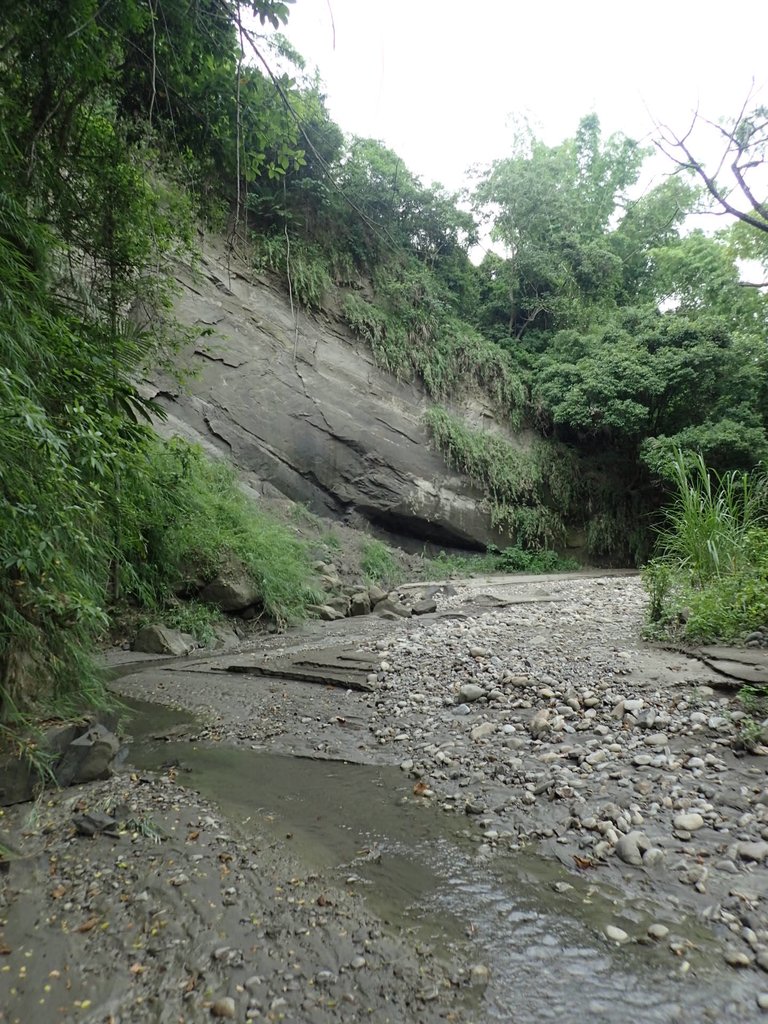 P6284993.JPG - 霧峰  烏溪北岸之  象鼻坑風光