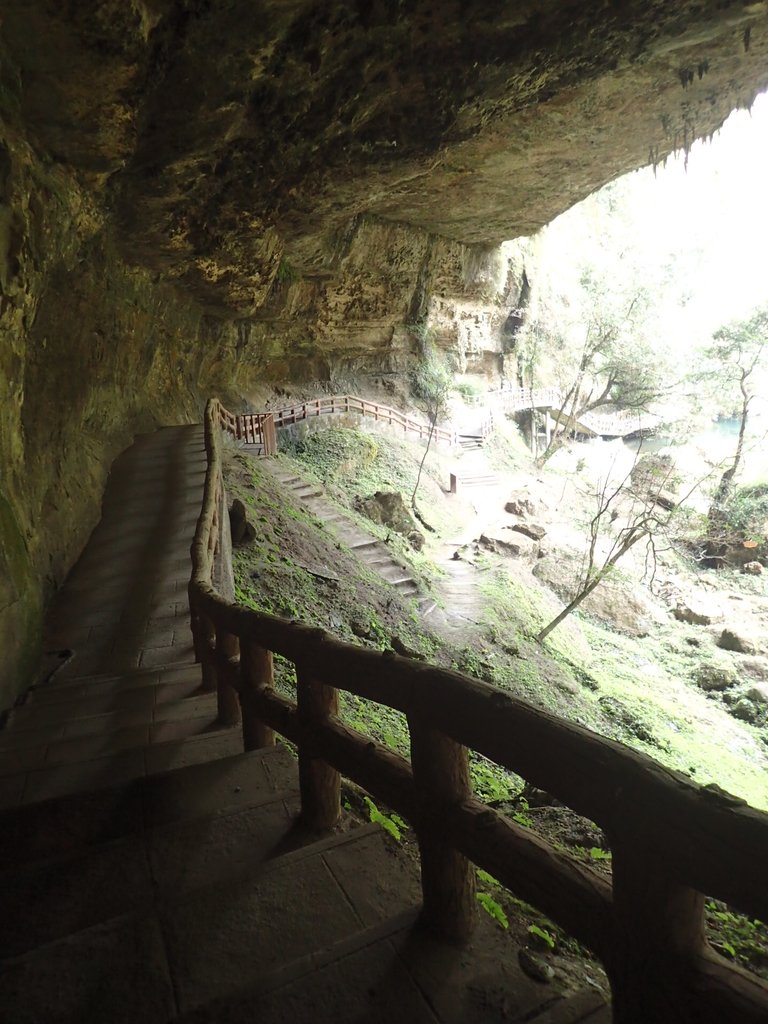 P2056660.JPG - 竹山  杉林溪森林遊樂園  路過