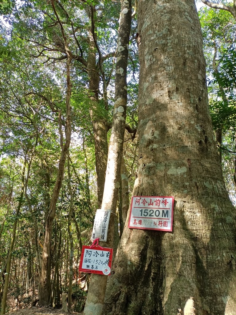 IMG20210221105230.jpg - 谷關  阿冷山步道