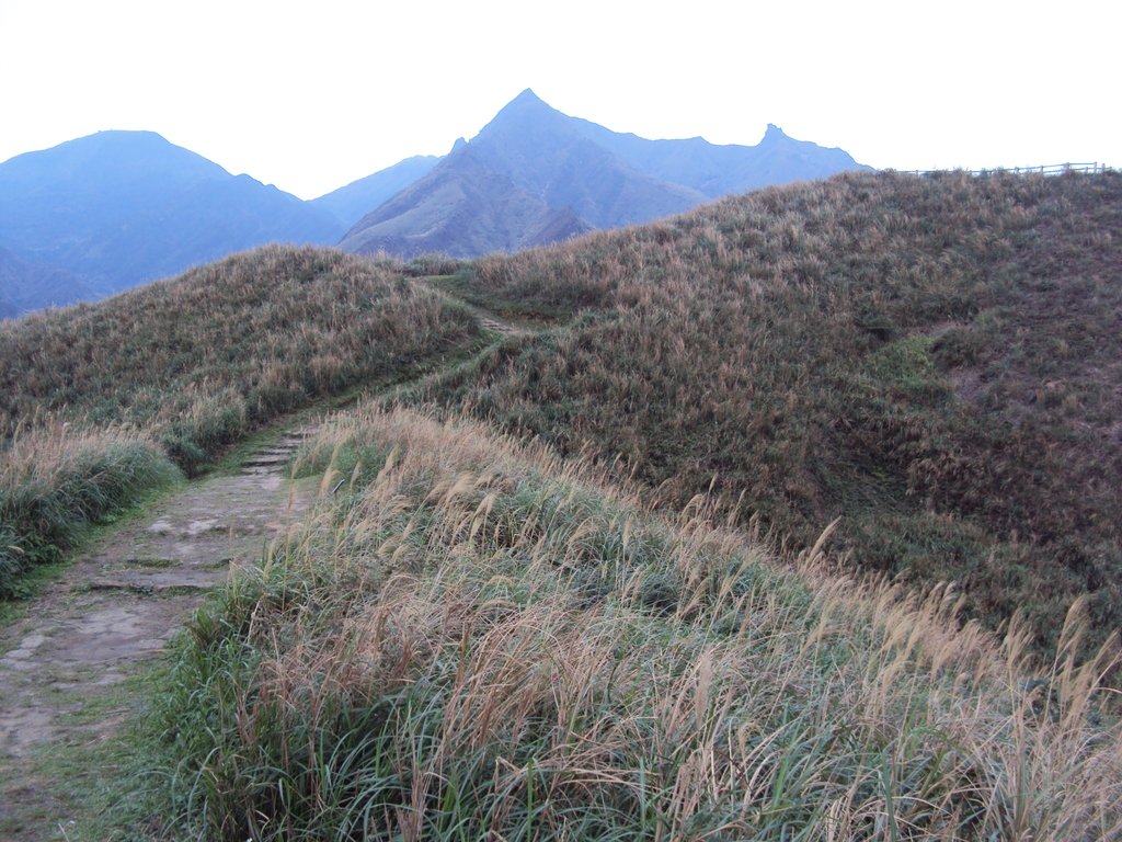 DSC06256.JPG - 瑞芳  南子吝步道