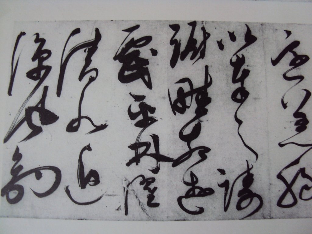 DSC00009.JPG - 陳淳的草書作品