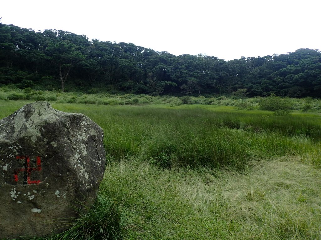 P9238224.JPG - 北投  面天山  向天湖步道