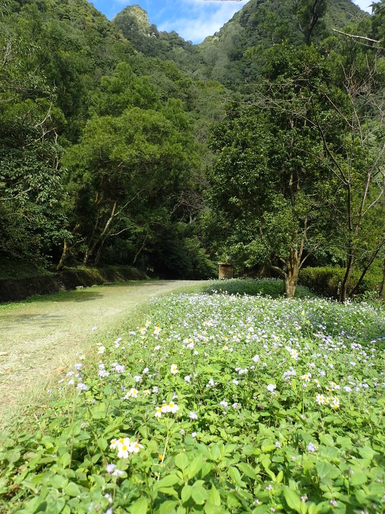 PB257562.JPG - 復興  東滿步道