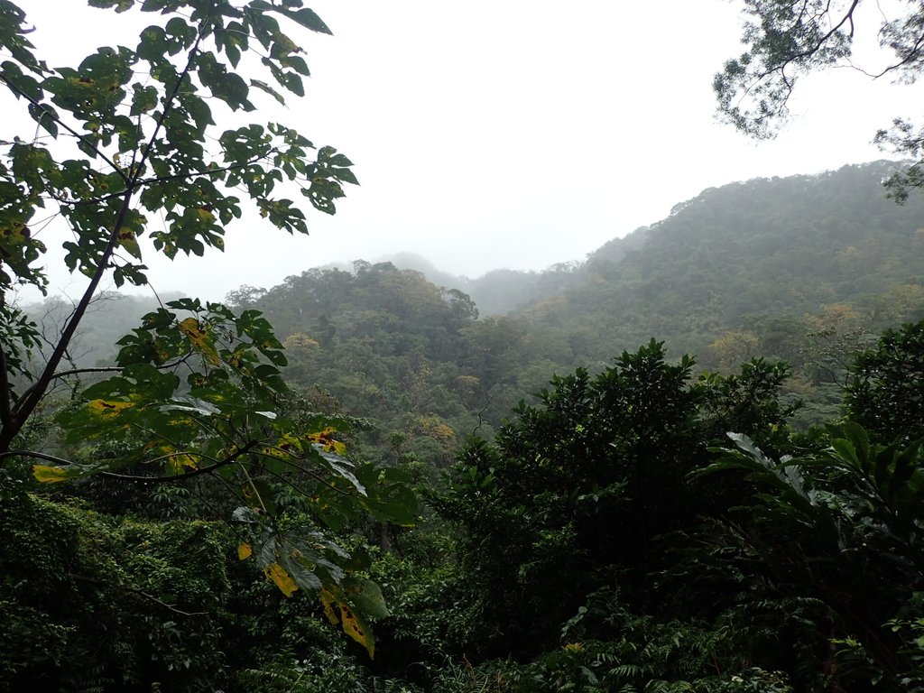 P1062030.JPG - 土城  天上山  登山步道