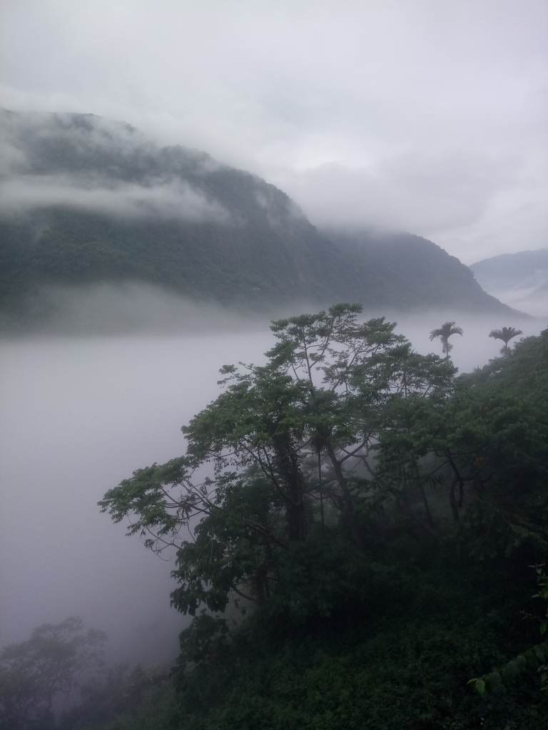 DSC_1145.JPG - 古坑  草嶺  雲山繚繞