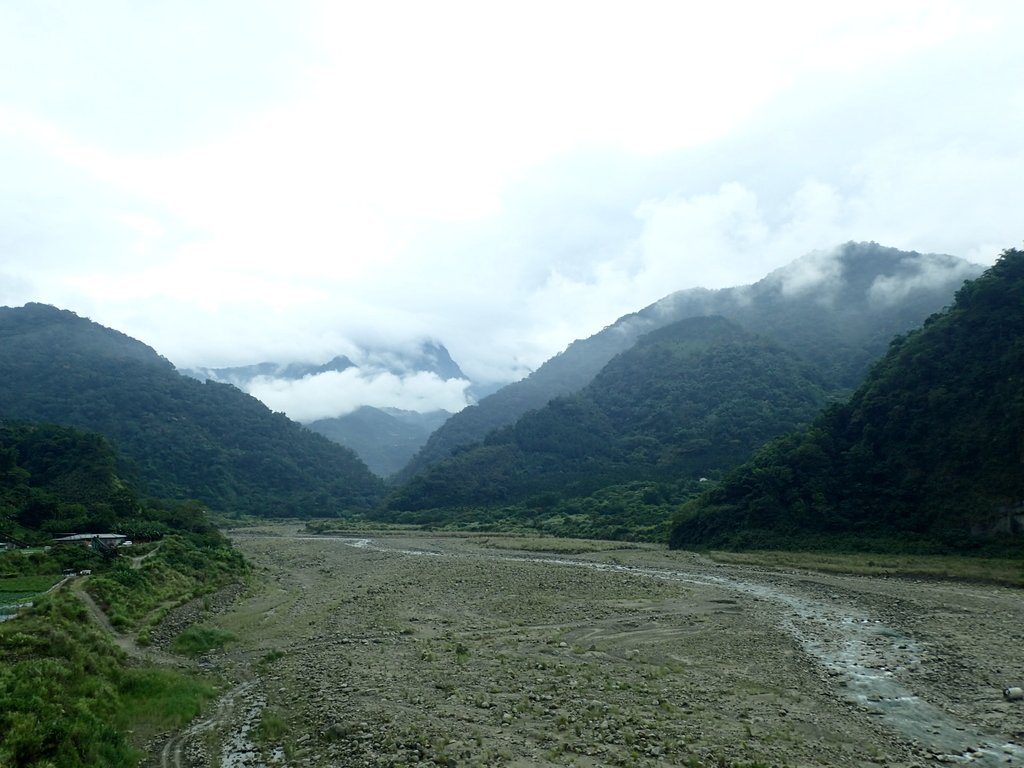PA231650.JPG - 草嶺  茄苳步道  峭壁雄風