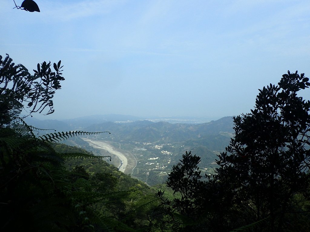 P3217576.JPG - 谷關七雄  白毛山  02