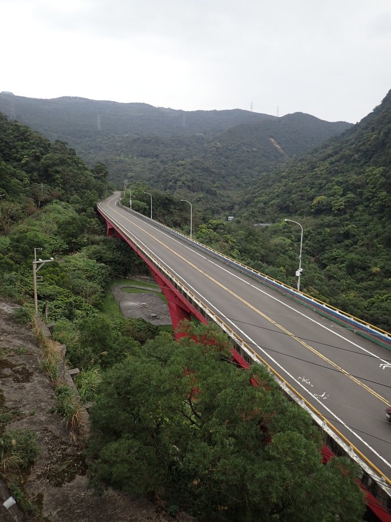 P3160188.JPG - 汐止  金面山(金明山)  稜線步道