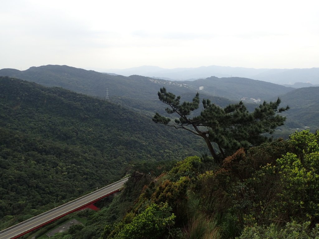 P3160161.JPG - 汐止  金面山(金明山)  稜線步道