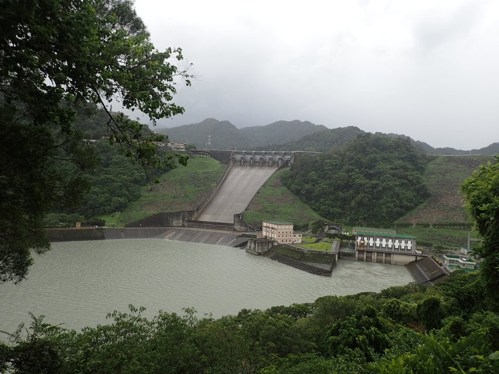 P8247011.JPG - 雨中漫遊  石門水庫