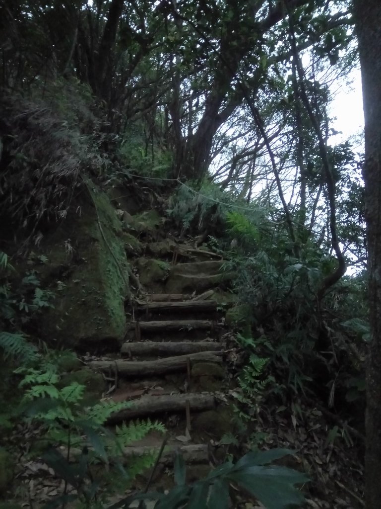 DSC_9291.JPG - 內湖  白鷺鷥山親山步道