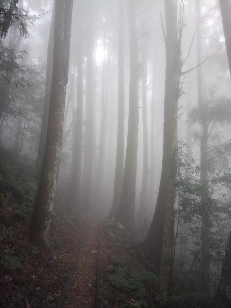 DSC_3786.JPG - 南庄  加里山  森林鐵道