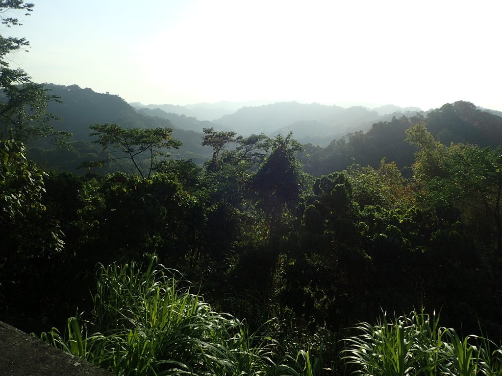 P2276004.JPG - 太平  酒桶山  暮色之美