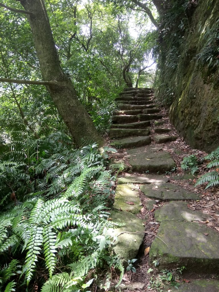 DSC_8637.JPG - 再訪  金包里大道  (魚路古道)