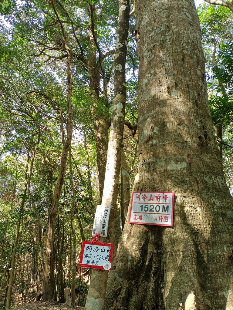 IMG20210221105231.jpg - 谷關  阿冷山步道