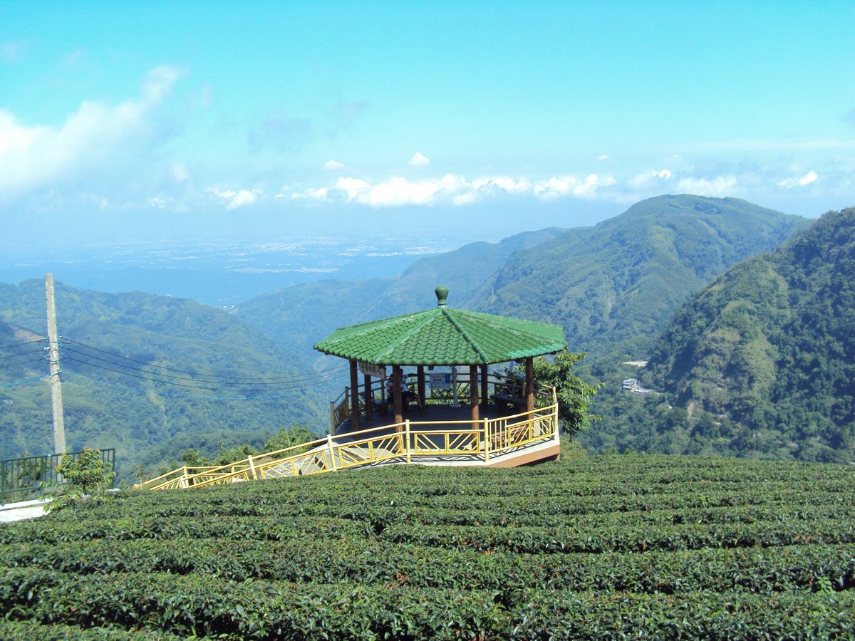 DSC07962.JPG - 竹山  軟鞍  八卦茶園