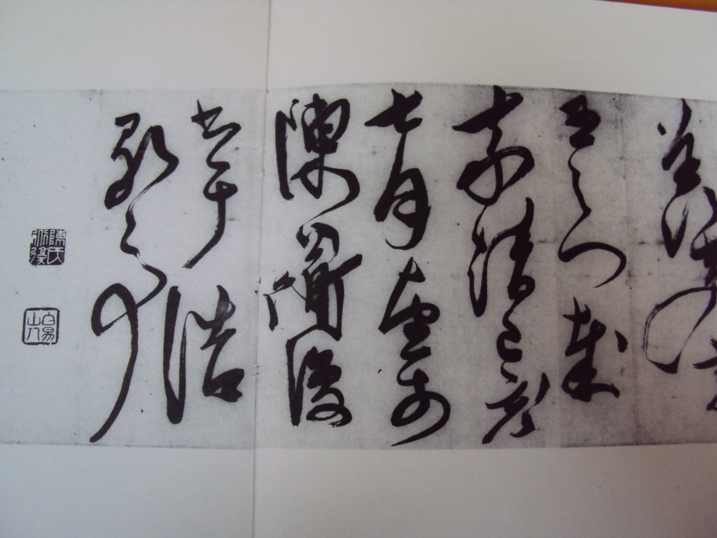 DSC00257.JPG - 陳淳的草書作品