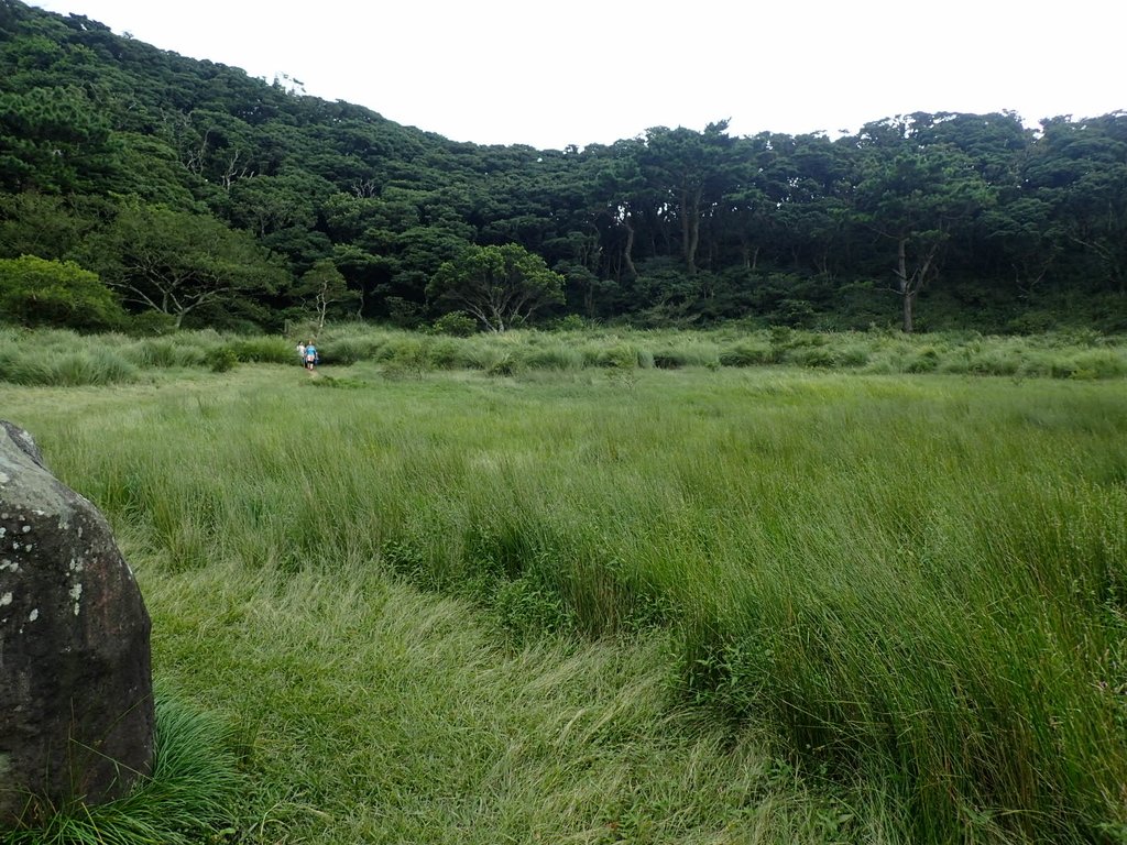 P9238226.JPG - 北投  面天山  向天湖步道