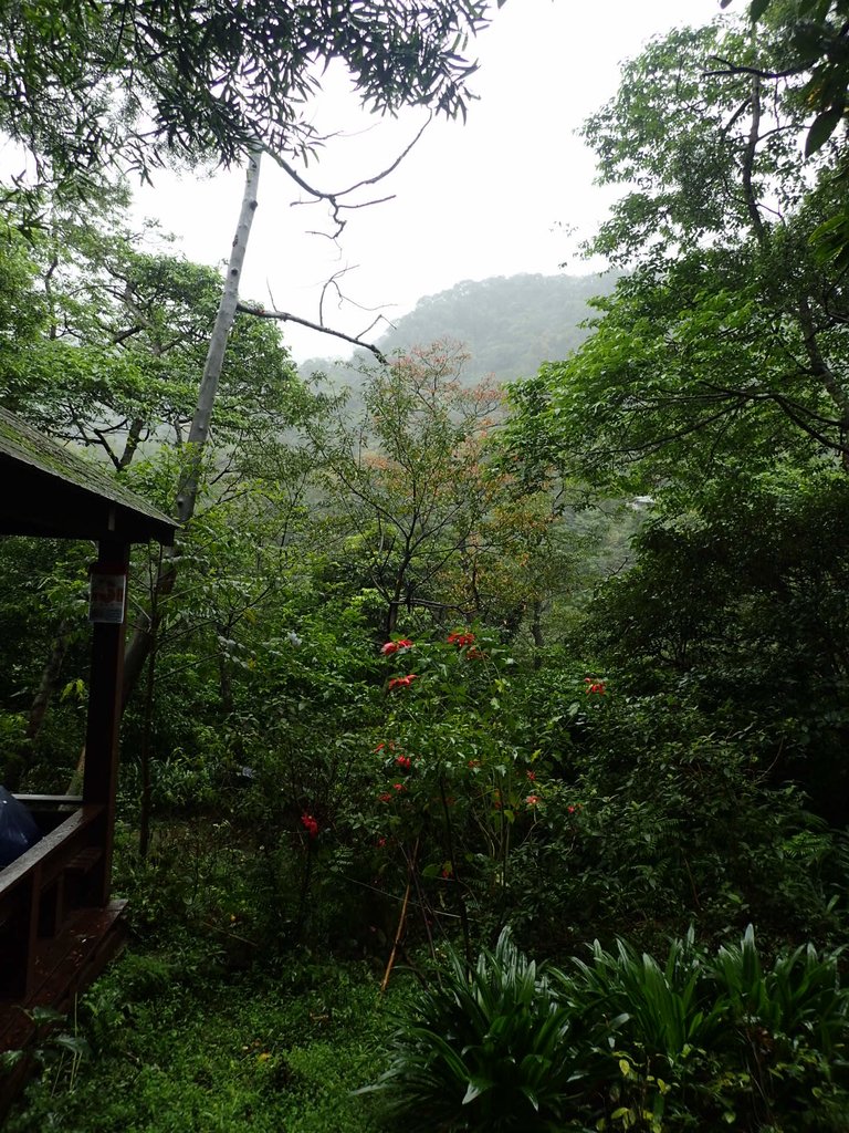 P1062034.JPG - 土城  天上山  登山步道