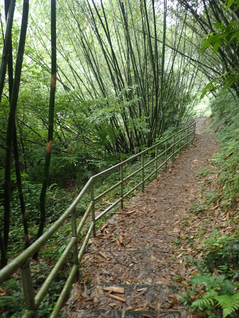 P4051069.JPG - 深坑  炮子崙登山步道