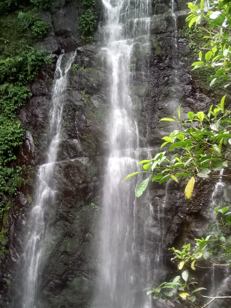 DSC_6137.JPG - 三峽  滿月圓森林遊樂區