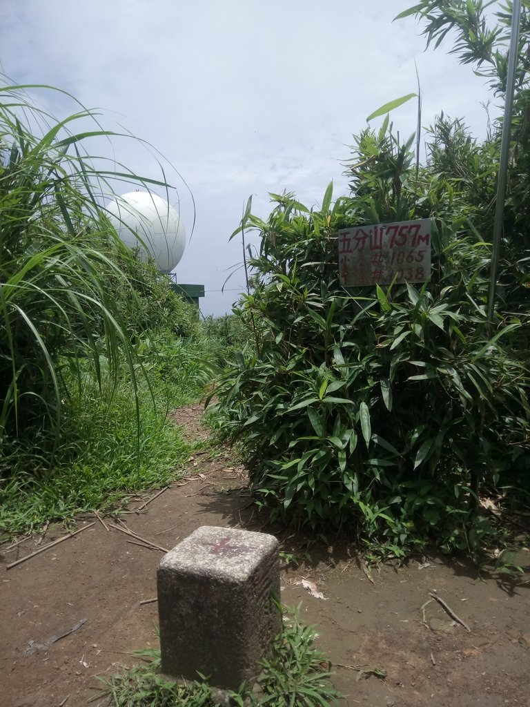 DSC_6579.JPG - 瑞芳  五分山登山步道